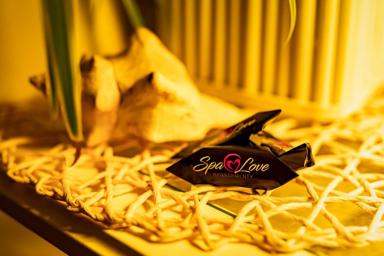 Spa Love Home Sauna Jacuzzi Romantyczny Dom Dla Pary Z Prywatnym Spa Zielona Góra Dış mekan fotoğraf
